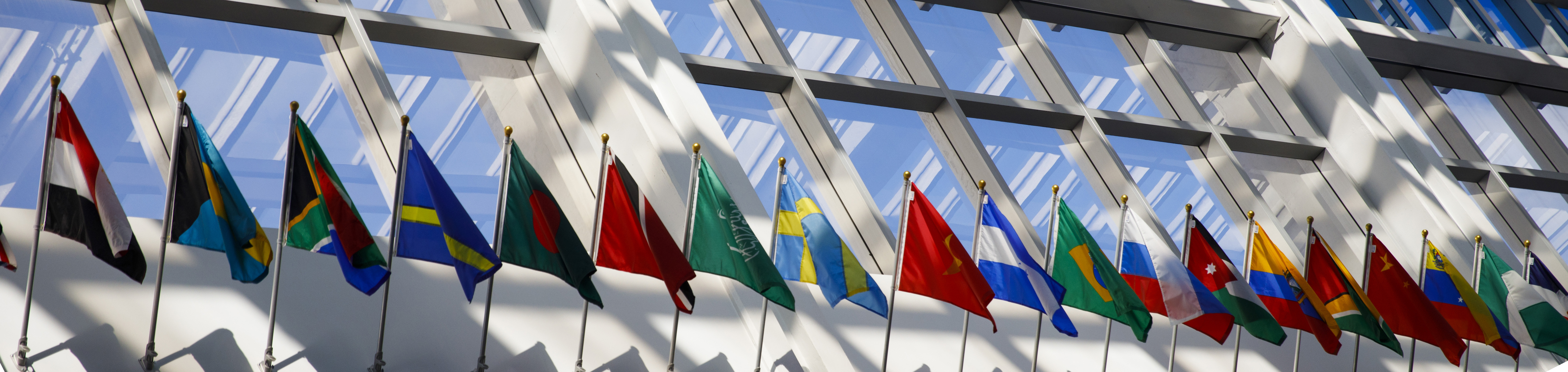 flags from different countries displayed on campus